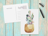 Potted Succulents Note Cards Set of 6 Postcards Postcard Set Paintings Cards Watercolors Succulent Thank You Card Moving Announcement Cards